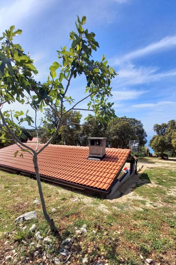 Apartments By The Sea Cove Mulobedanj, Pag - 6275 Lun  Bagian luar foto